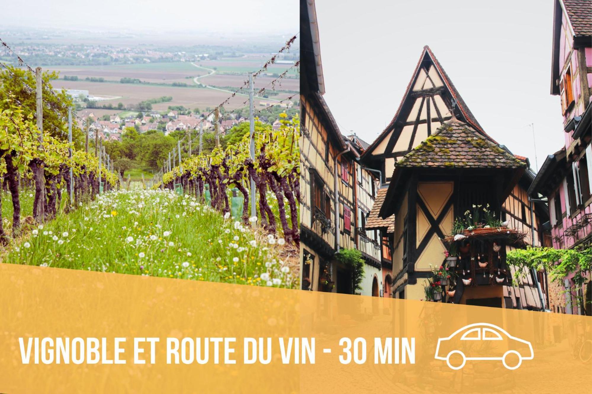 Les Pinots D'Alsace - 3 Bungalows Climatises Avec Tv - Proche Europa Park Boofzheim Rum bild